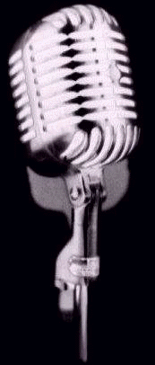 Shure Microphone